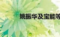 姚振华及宝能等被强制执行5亿