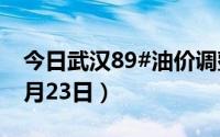 今日武汉89#油价调整最新消息（2024年08月23日）