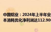 中国铝业：2024年上半年业绩强劲增长主营产品产量提升成本消耗优化净利润达112.90亿元