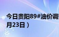 今日贵阳89#油价调整最新消息（2024年08月23日）