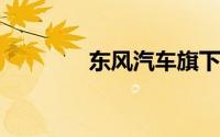 东风汽车旗下两家公司增资