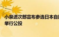 小泉进次郎宣布参选日本自民党总裁称若当选首相将就修宪举行公投