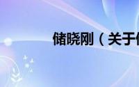 储晓刚（关于储晓刚的简介）