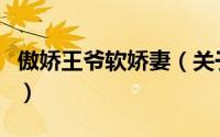 傲娇王爷软娇妻（关于傲娇王爷软娇妻的简介）