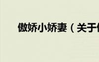 傲娇小娇妻（关于傲娇小娇妻的简介）