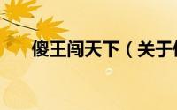 傻王闯天下（关于傻王闯天下的简介）