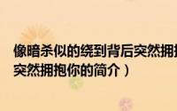 像暗杀似的绕到背后突然拥抱你（关于像暗杀似的绕到背后突然拥抱你的简介）