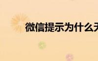 微信提示为什么无法连接到服务器
