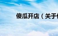傻瓜开店（关于傻瓜开店的简介）