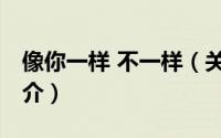像你一样 不一样（关于像你一样 不一样的简介）