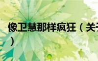 像卫慧那样疯狂（关于像卫慧那样疯狂的简介）