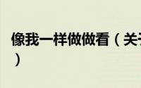 像我一样做做看（关于像我一样做做看的简介）