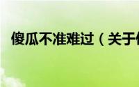 傻瓜不准难过（关于傻瓜不准难过的简介）