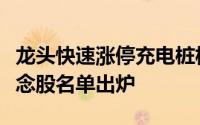 龙头快速涨停充电桩板块上涨！业绩增长的概念股名单出炉