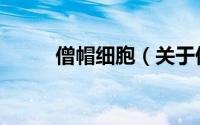 僧帽细胞（关于僧帽细胞的简介）