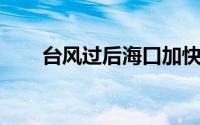 台风过后海口加快恢复城市发展活力