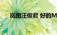 岚图汪俊君 好的MPV最重要的是安全
