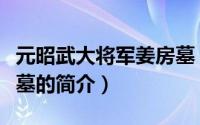 元昭武大将军姜房墓（关于元昭武大将军姜房墓的简介）
