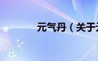 元气丹（关于元气丹的简介）