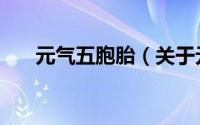 元气五胞胎（关于元气五胞胎的简介）