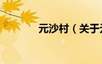 元沙村（关于元沙村的简介）