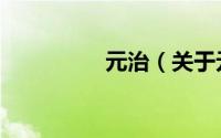 元治（关于元治的简介）