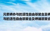 元素碘参与的活性自由基聚合及碘端基聚合物的功能化（关于元素碘参与的活性自由基聚合及碘端基聚合物的功能化的简介）