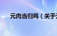 元肉当归鸡（关于元肉当归鸡的简介）