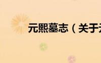 元熙墓志（关于元熙墓志的简介）
