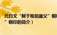 元白文“鲜于枢伯畿父”铜印（关于元白文“鲜于枢伯畿父”铜印的简介）