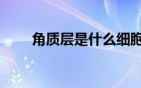 角质层是什么细胞（角质层是什么）