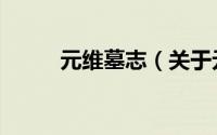 元维墓志（关于元维墓志的简介）