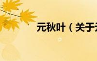 元秋叶（关于元秋叶的简介）