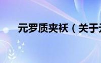 元罗质夹袄（关于元罗质夹袄的简介）