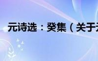 元诗选：癸集（关于元诗选：癸集的简介）