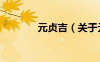 元贞吉（关于元贞吉的简介）