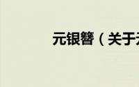 元银簪（关于元银簪的简介）