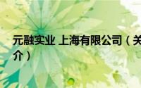 元融实业 上海有限公司（关于元融实业 上海有限公司的简介）