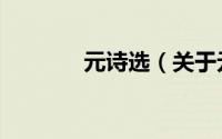 元诗选（关于元诗选的简介）