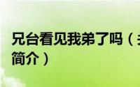 兄台看见我弟了吗（关于兄台看见我弟了吗的简介）