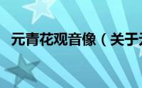 元青花观音像（关于元青花观音像的简介）