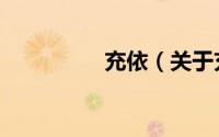 充依（关于充依的简介）
