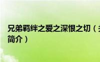 兄弟羁绊之爱之深恨之切（关于兄弟羁绊之爱之深恨之切的简介）