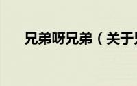 兄弟呀兄弟（关于兄弟呀兄弟的简介）
