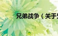 兄弟战争（关于兄弟战争的简介）