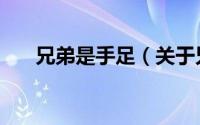 兄弟是手足（关于兄弟是手足的简介）