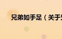 兄弟如手足（关于兄弟如手足的简介）