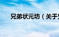 兄弟状元坊（关于兄弟状元坊的简介）