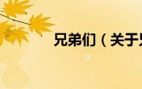 兄弟们（关于兄弟们的简介）