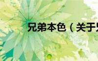 兄弟本色（关于兄弟本色的简介）